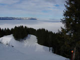 View from alpine ski station